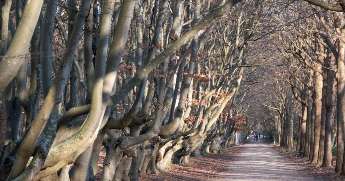 Buitenplaats Iepenoord Оосткапелл Экстерьер фото